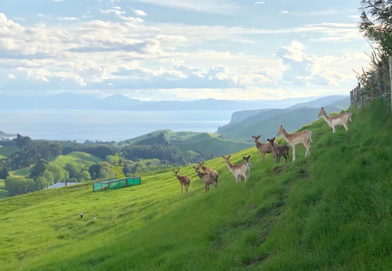 Hilltop Whakaipo Estate 타우포 호 외부 사진