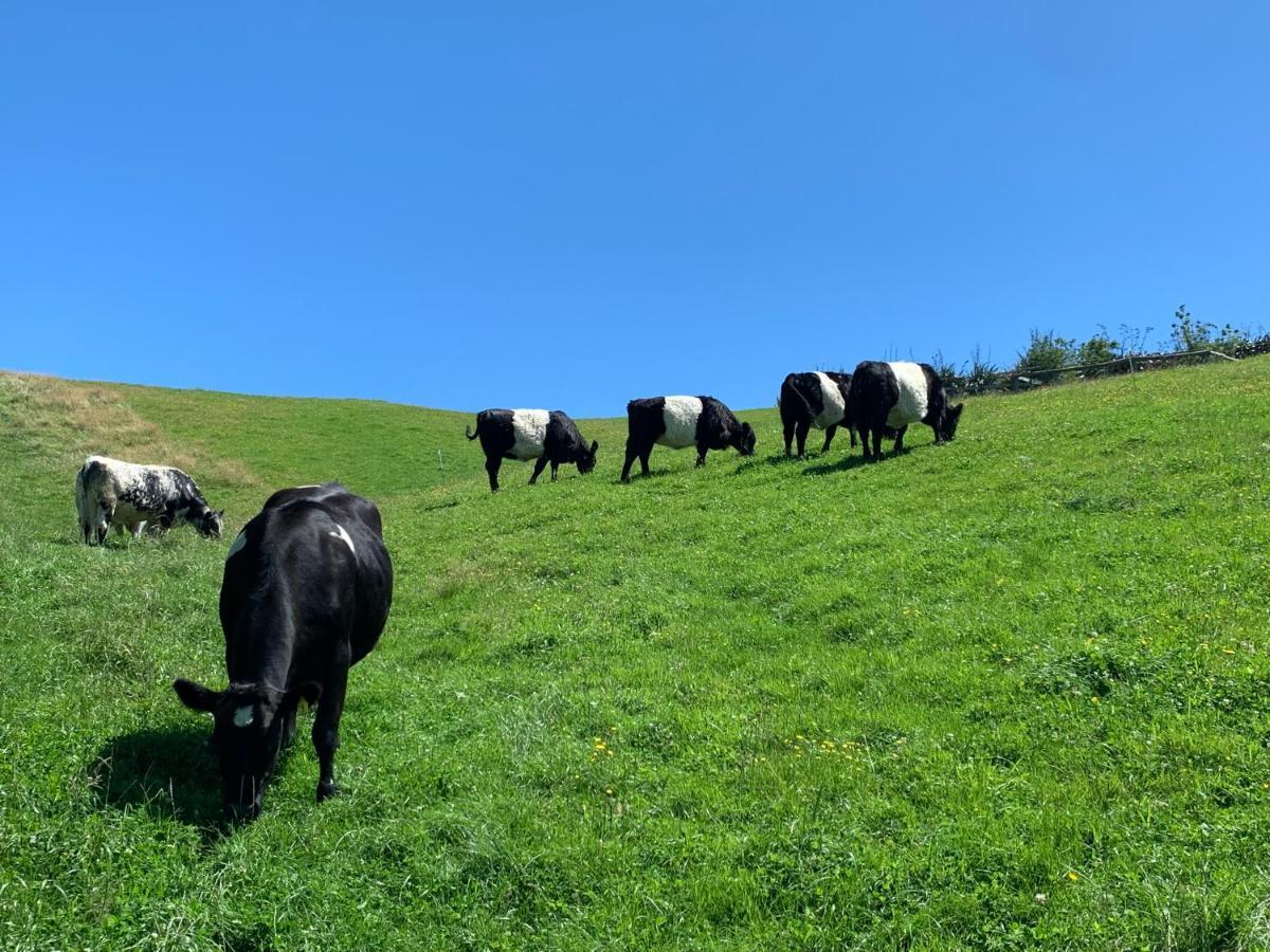 Hilltop Whakaipo Estate 타우포 호 외부 사진