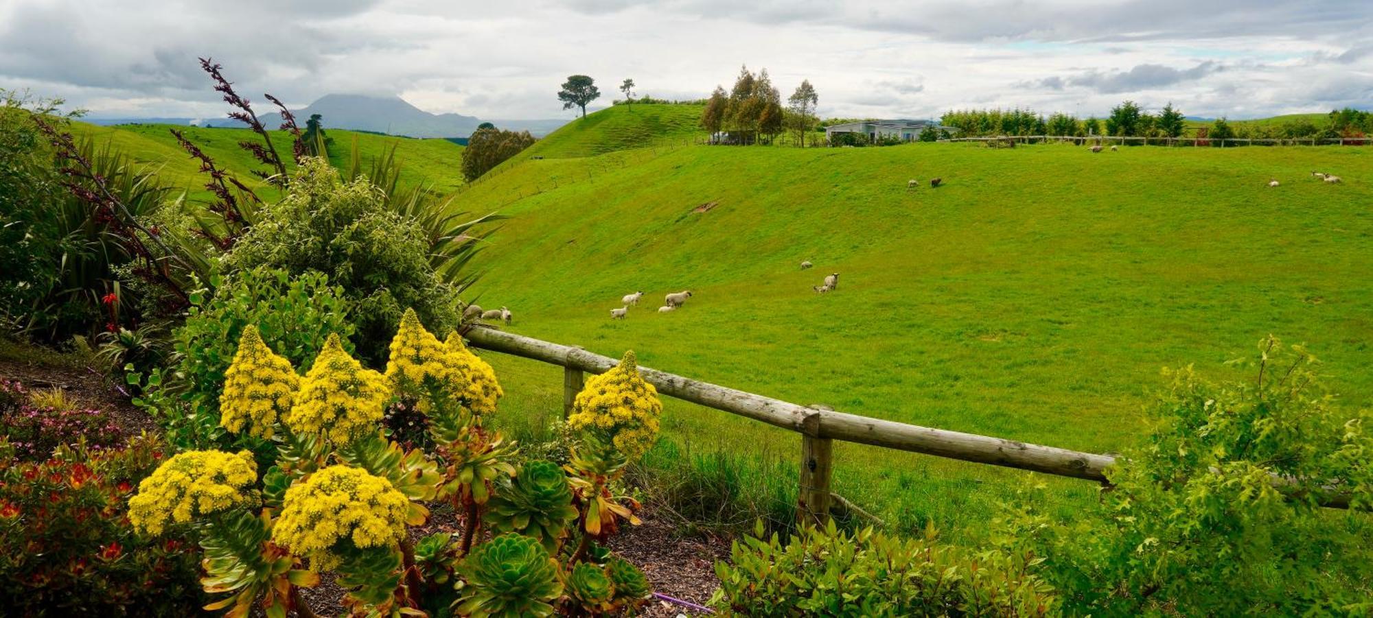 Hilltop Whakaipo Estate 타우포 호 외부 사진