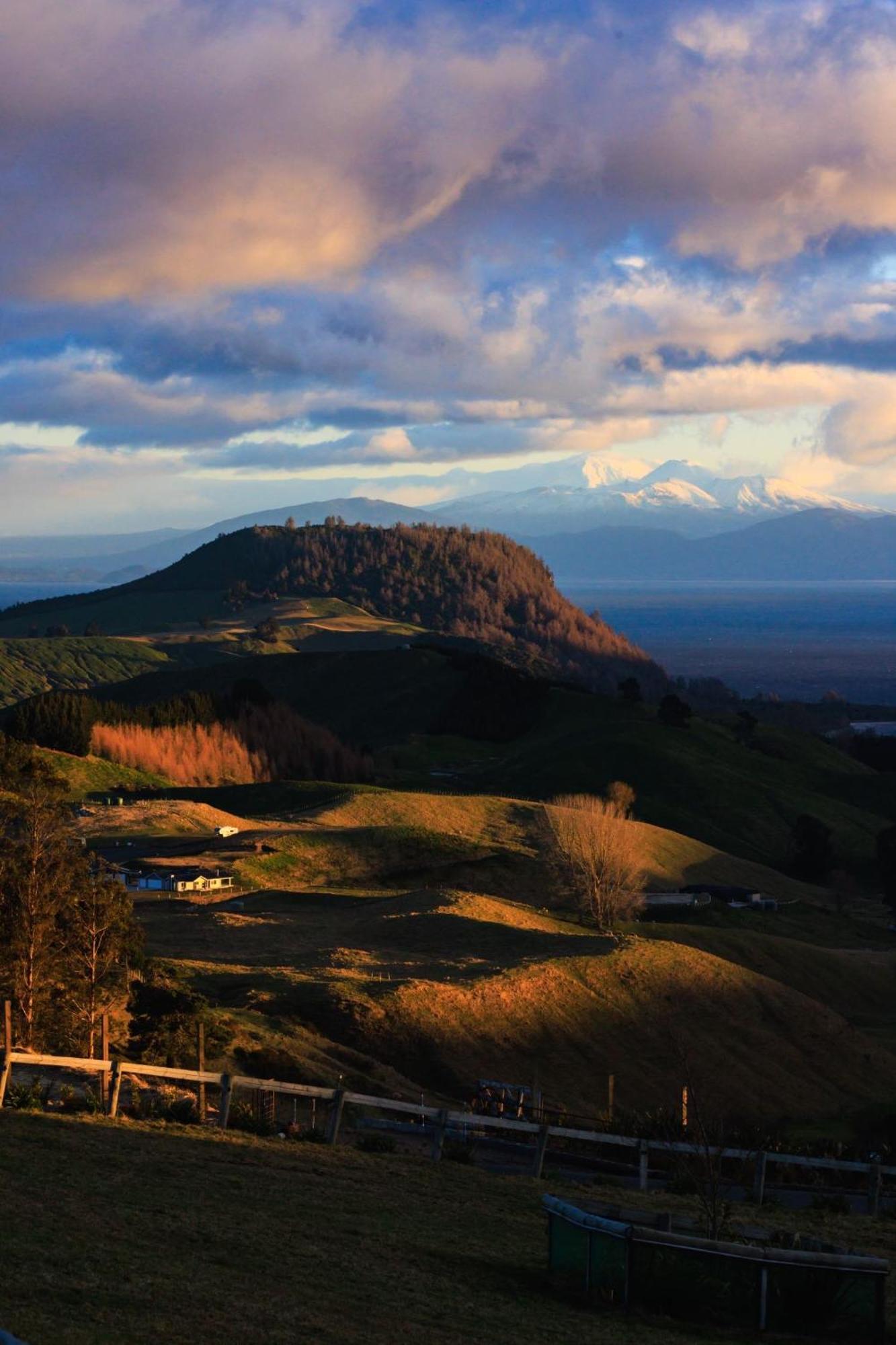 Hilltop Whakaipo Estate 타우포 호 외부 사진